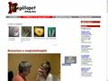 http://idegallapot.blog.hu ismertető oldala